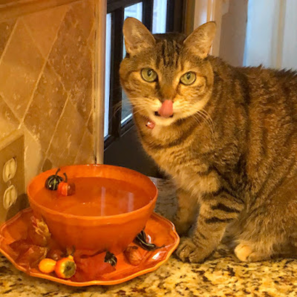 Meet your Posher, Laura